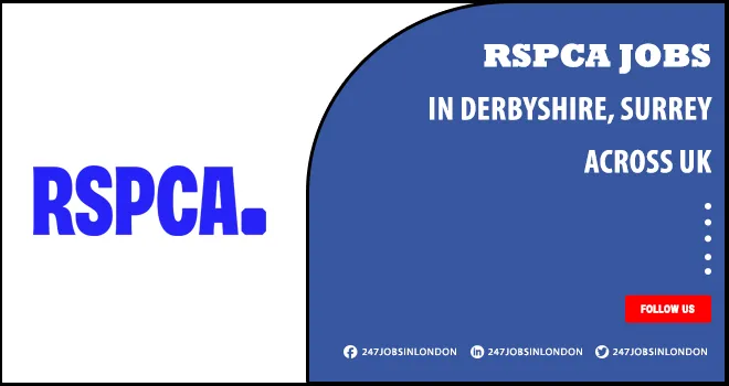 RSPCA Jobs Is Currently Open For Professionals | Apply Online RSPCA Jobs