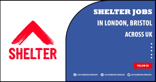Shelter Jobs Is Currently Open No Experience Needed Shelter Jobs